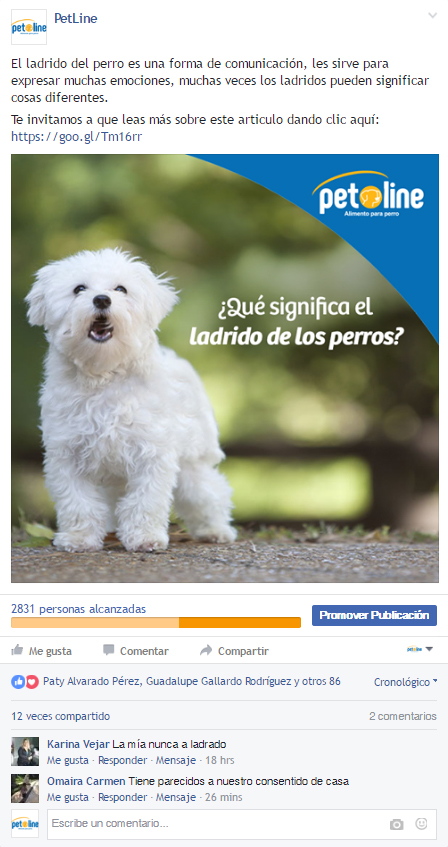 Esta tierna publicación de un perrito ladrando tiene un alcance total de: 2831 personas alcanzadas y 102 interacciones con el público.